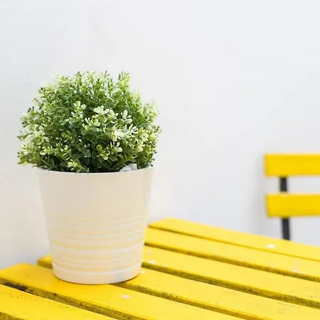 Apartament Stylish One Bed Oasis In Historic Centre Lizbona